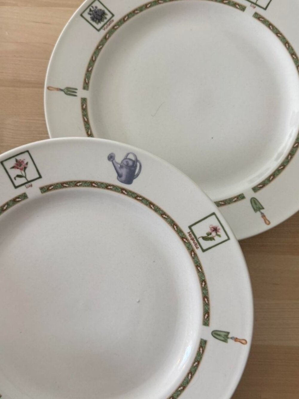 Royal Norfolk Greenbrier Garden Set of 2 dinner plates